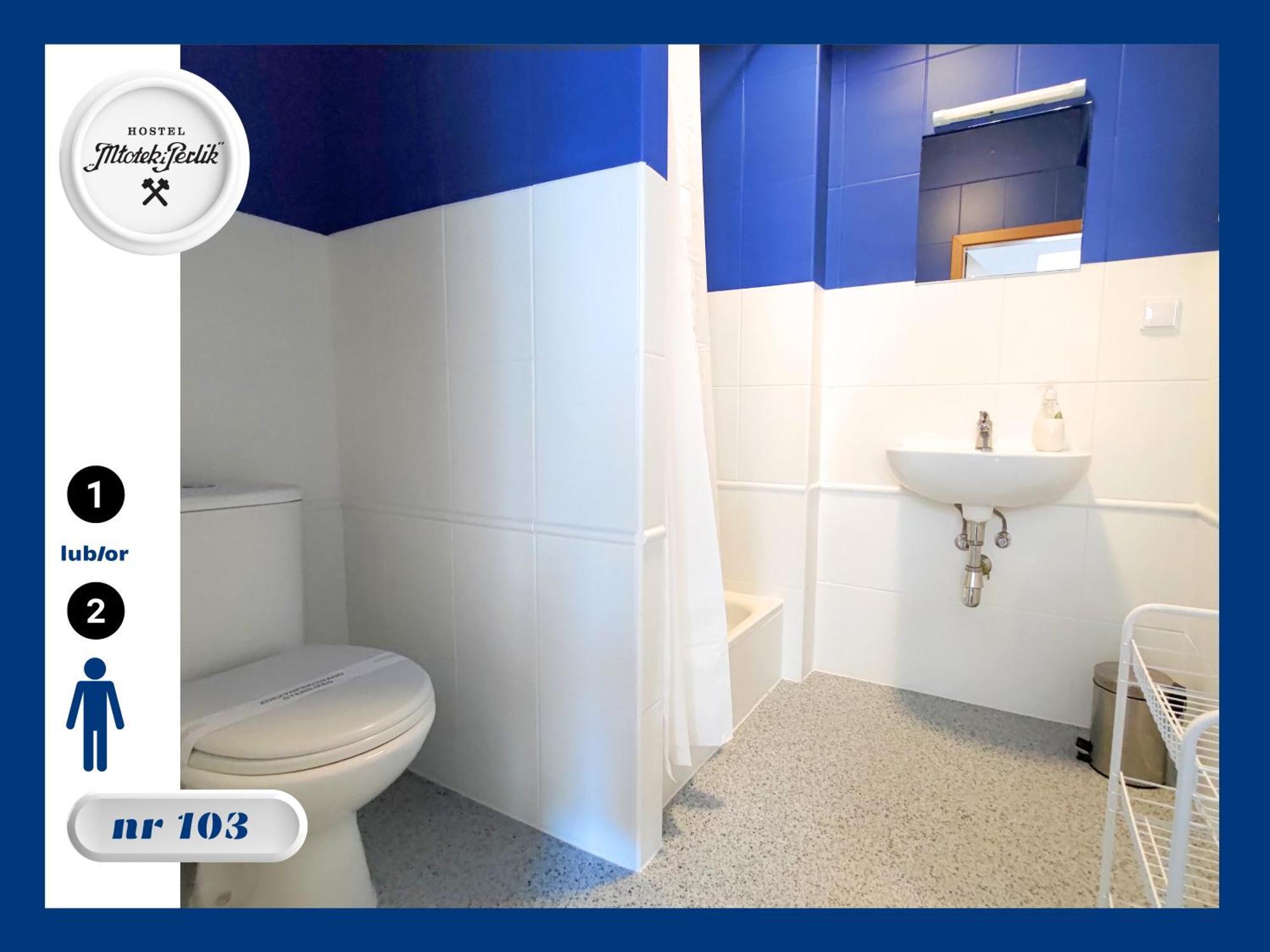 Hostel Mlotek I Perlik Tarnowskie Góry Buitenkant foto